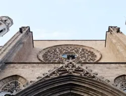 Santa Maria del Mar Guided Tour: Interior and Terraces